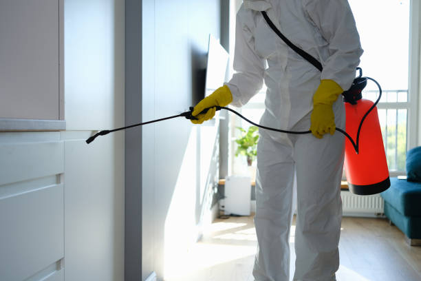 Best Post-Flood Mold Remediation in Mount Pleasant, TN