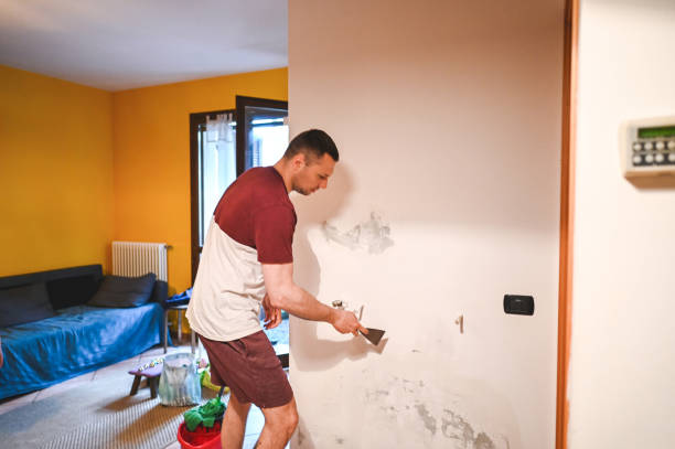 Professional Mold Remediation in Mount Pleasant, TN