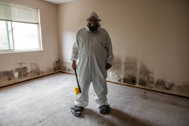 Best Post-Remediation Services in Mount Pleasant, TN